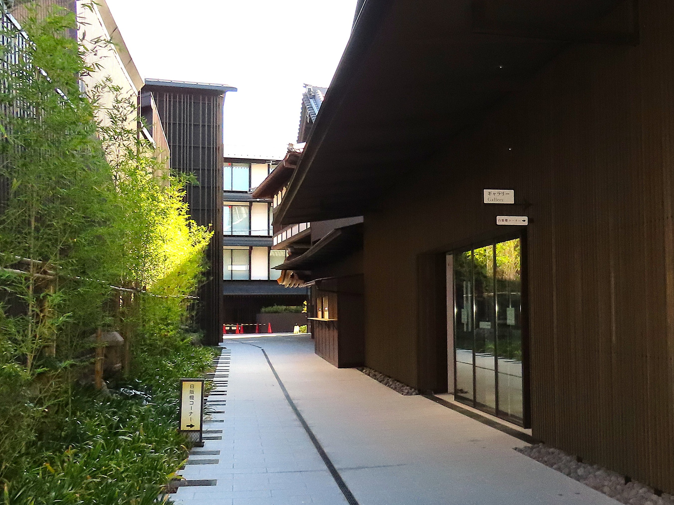 ギャラリーイメージ1