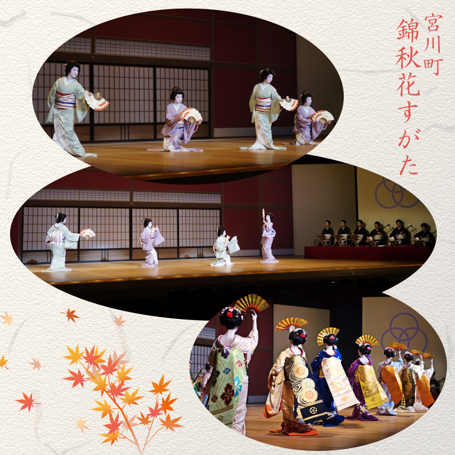 錦秋花すがた イメージ画像 「R5京おどり」より