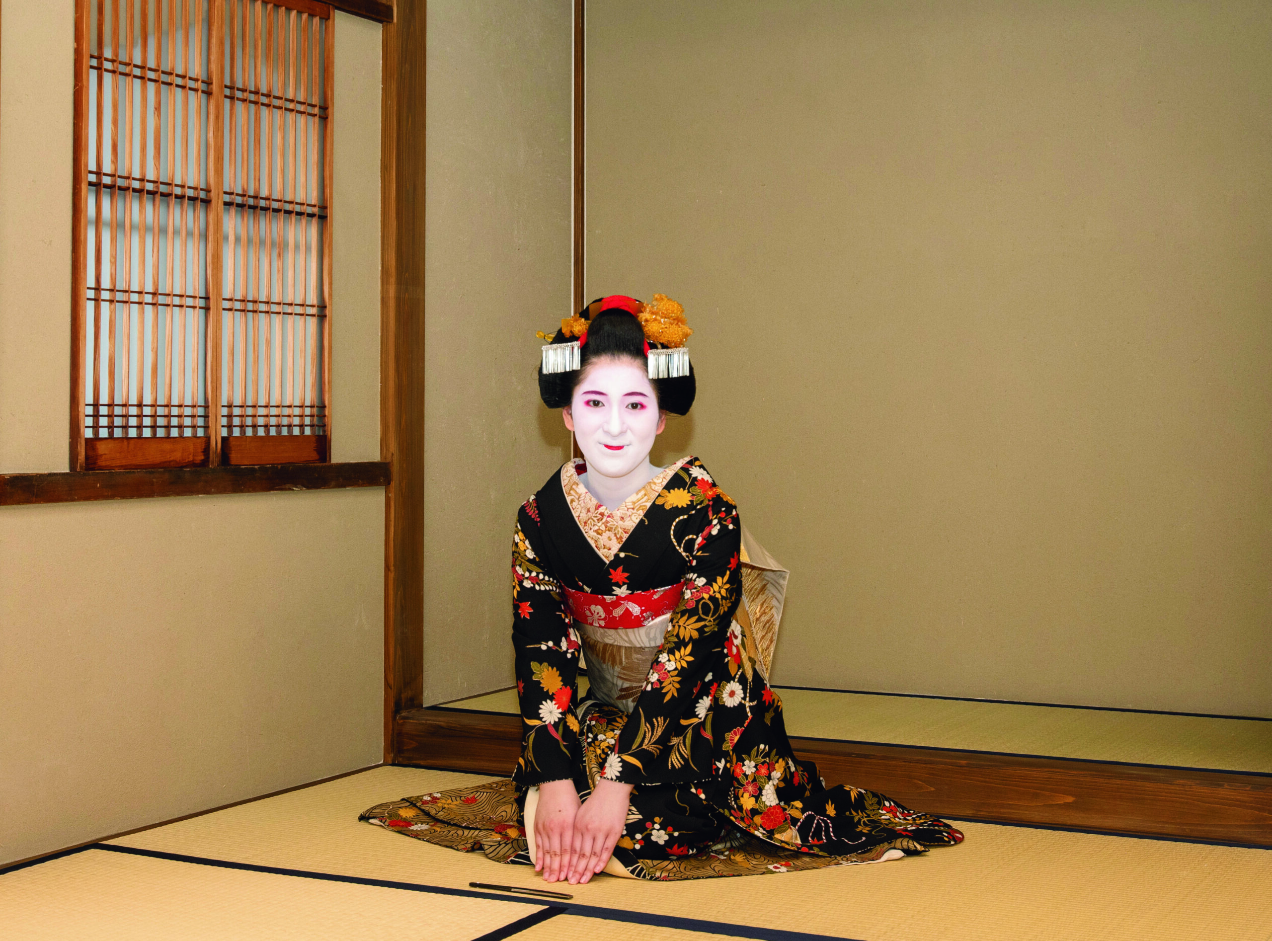 たねきく